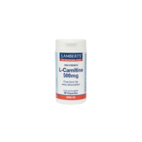 Lamberts L -Carnitine 500mg